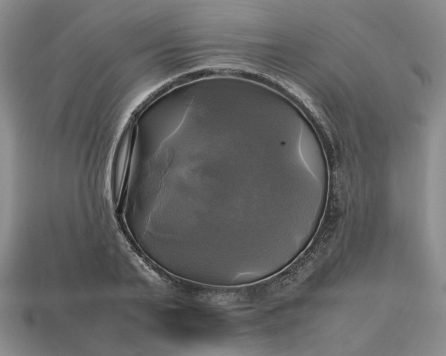 X0000112970791200909101652