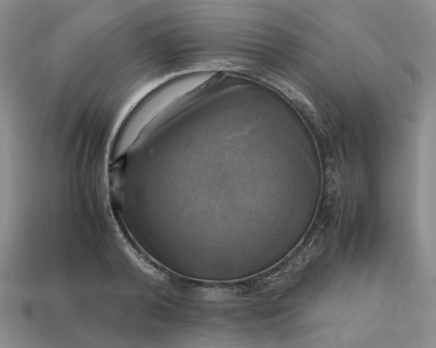 X0000112970792200909101652