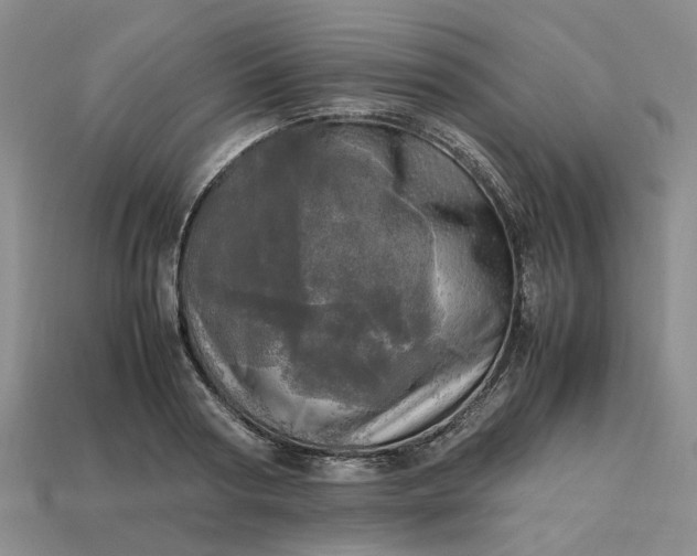 X0000112970794200909101652