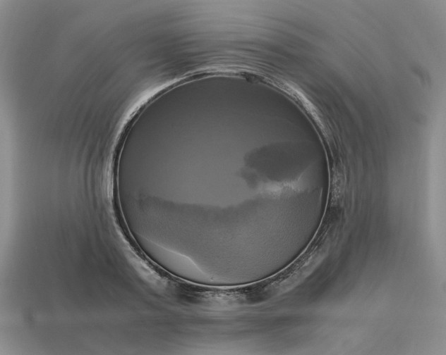 X0000112970795200909101652