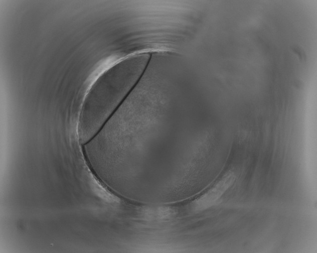 X0000112970797200909101652