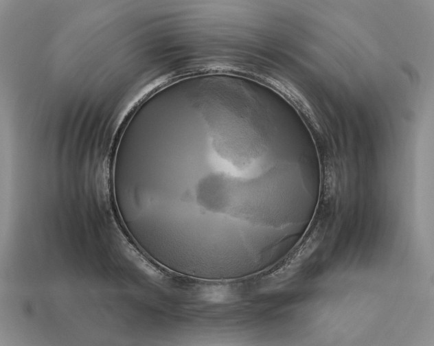 X0000112970798200909101652