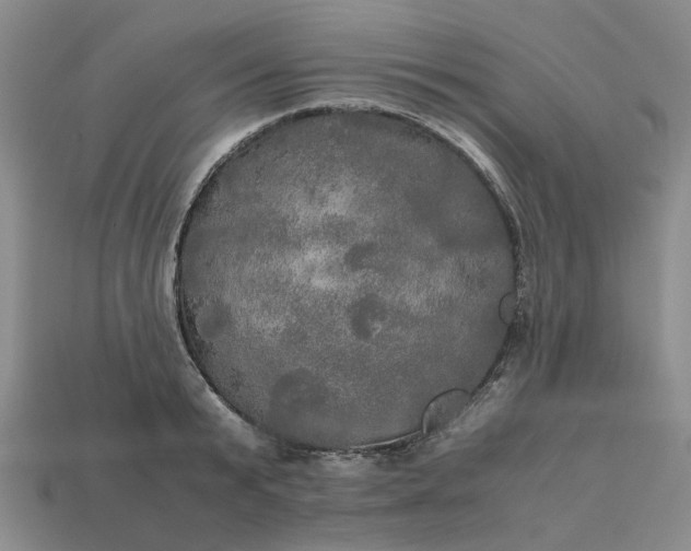 X0000112970799200909101652