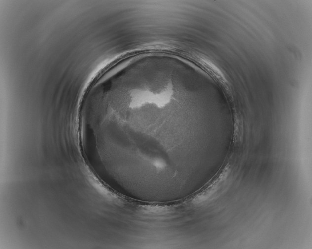 X0000112970800200909101652