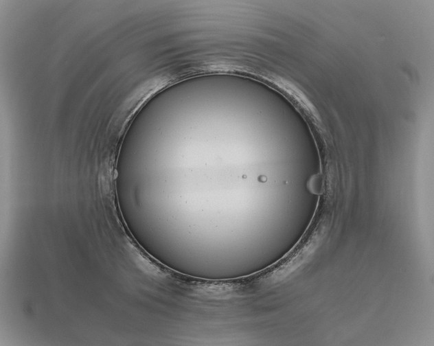 X0000112970801200909101652