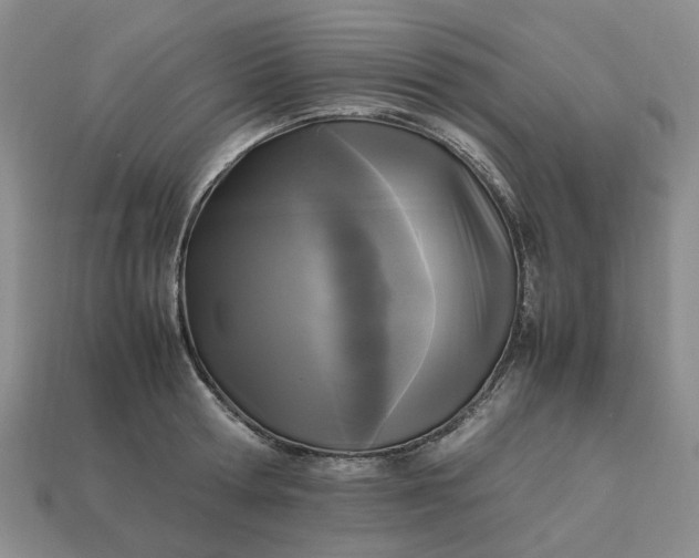 X0000112970802200909101652