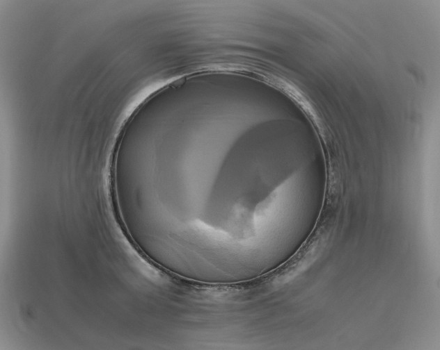 X0000112970803200909101652