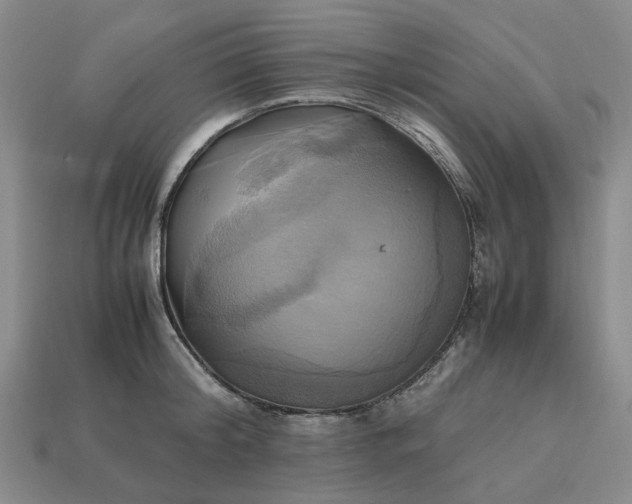 X0000112970804200909101652