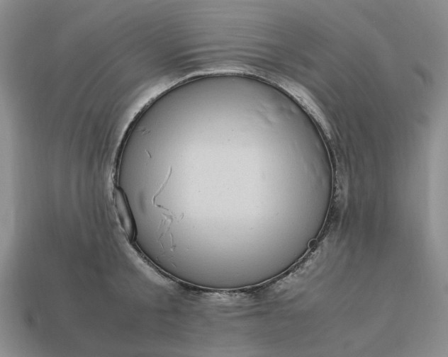 X0000112970805200909101652