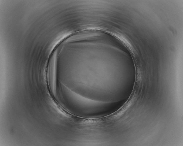 X0000112970806200909101652