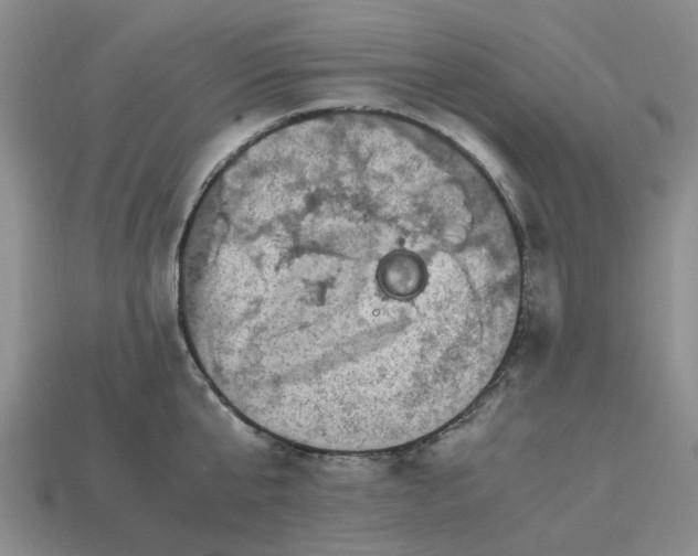 X0000112970807200909101652