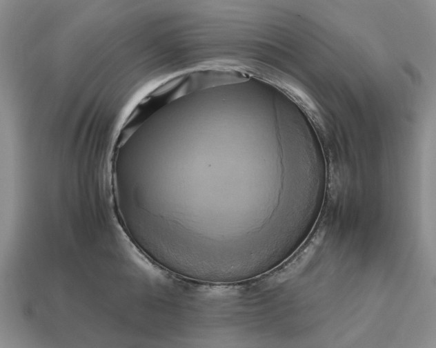 X0000112970808200909101652