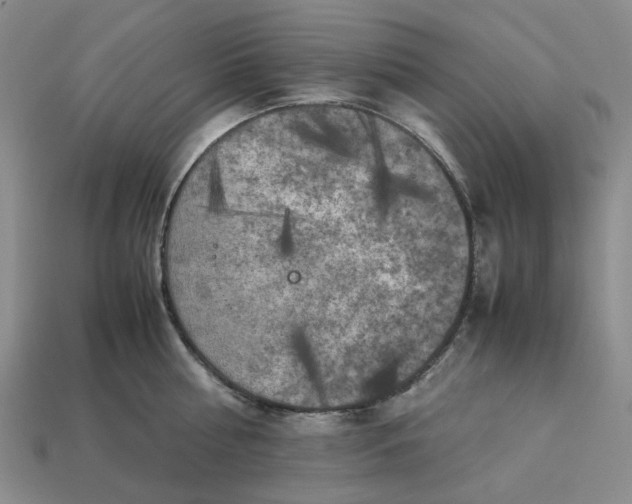 X0000112970810200909101652