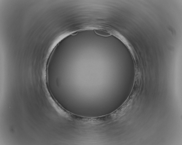 X0000112970811200909101652