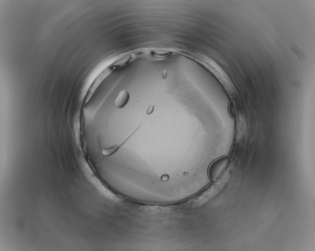 X0000112970812200909101652