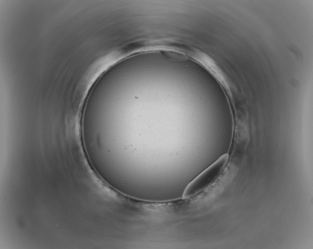 X0000112970813200909101652