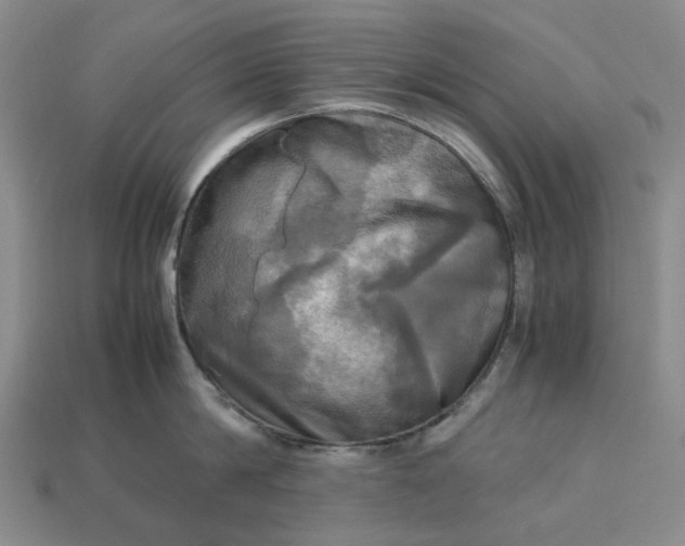 X0000112970814200909101652