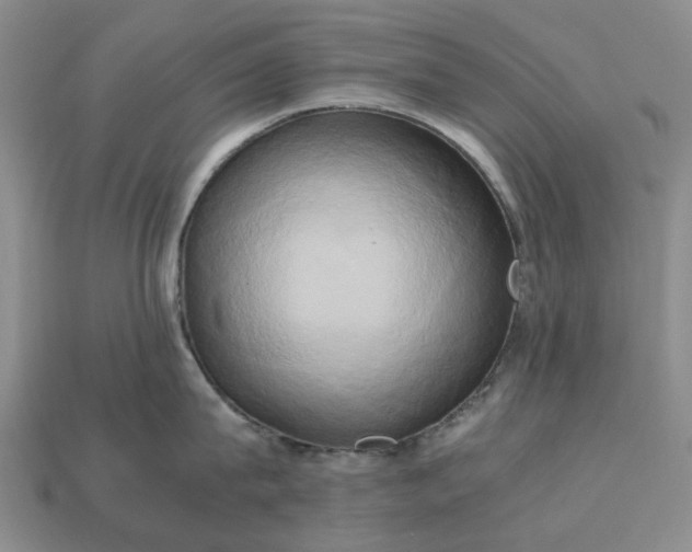 X0000112970815200909101652