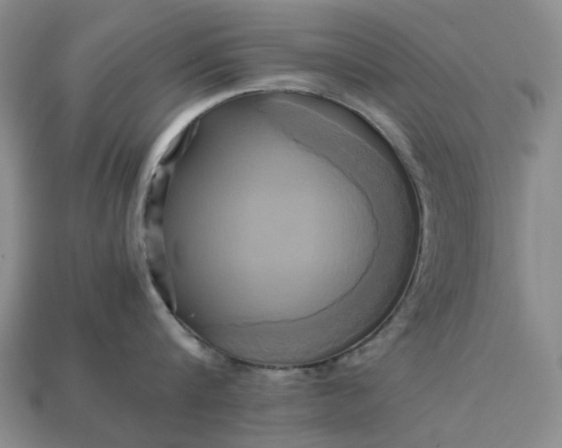 X0000112970816200909101652