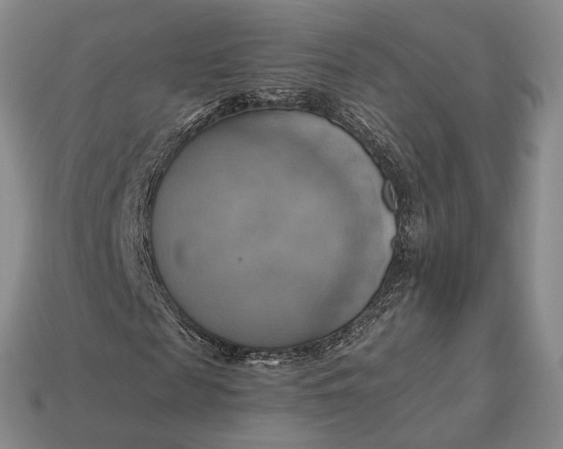 X0000112970817200909101651