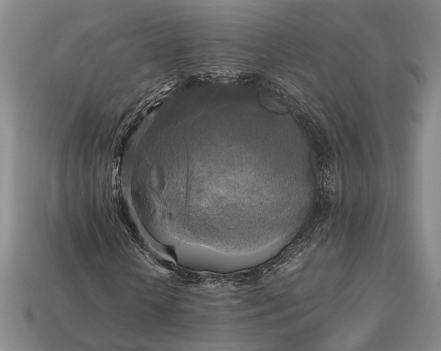 X0000112970818200909101651