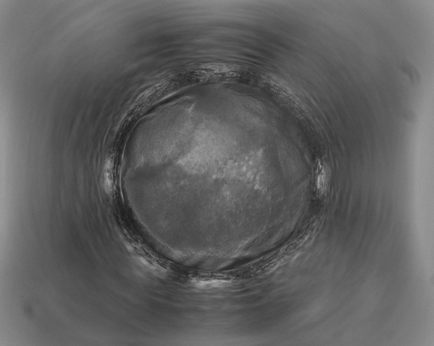 X0000112970819200909101651