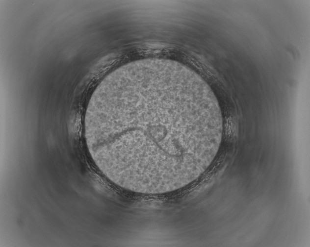 X0000112970820200909101651