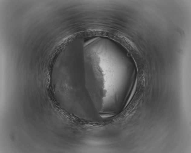 X0000112970821200909101651