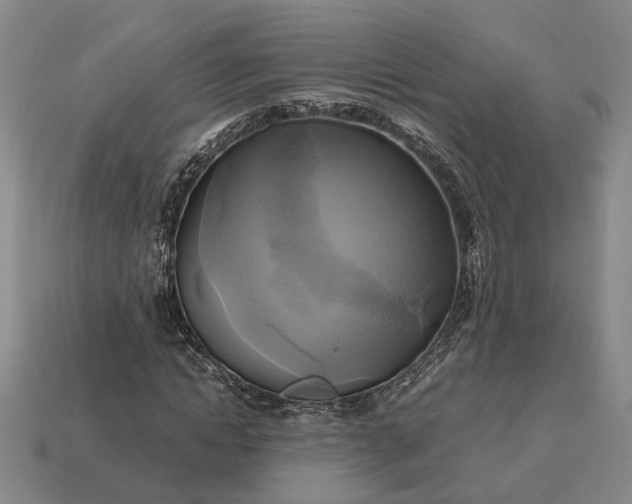 X0000112970822200909101651