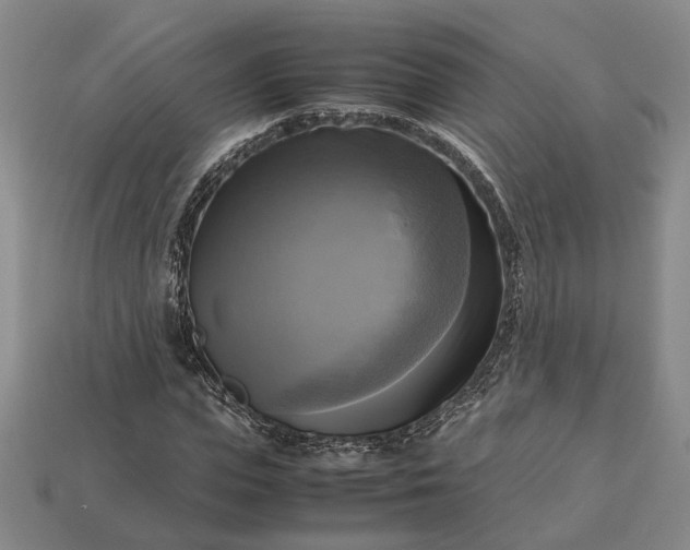 X0000112970823200909101651