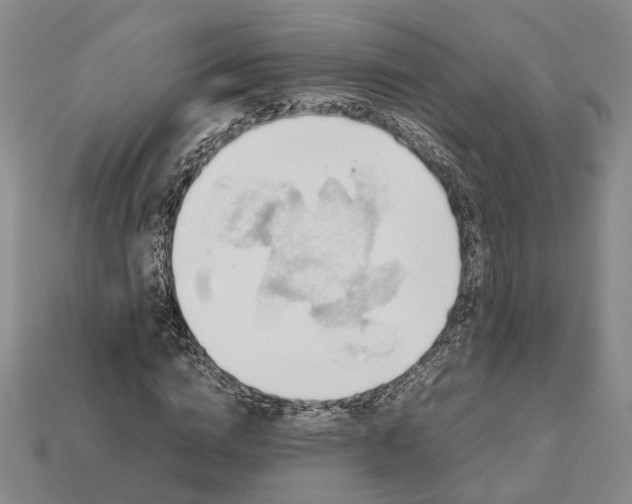 X0000112970824200909101651