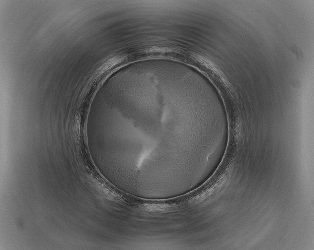 X0000112970825200909101651