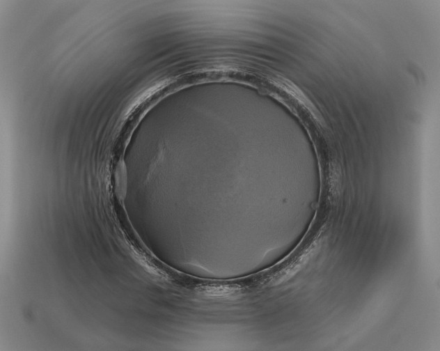 X0000112970826200909101651