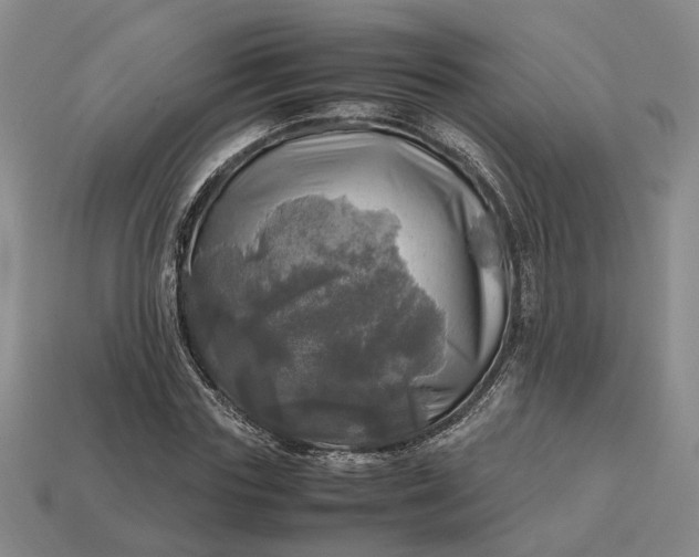 X0000112970827200909101651