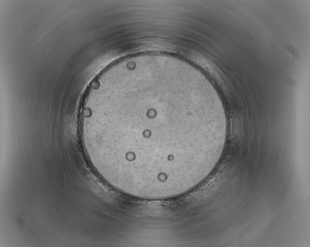 X0000112970828200909101651