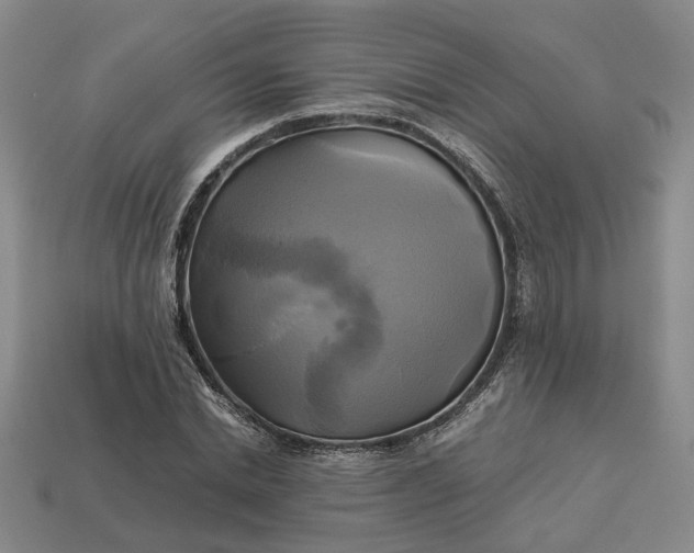 X0000112970830200909101651