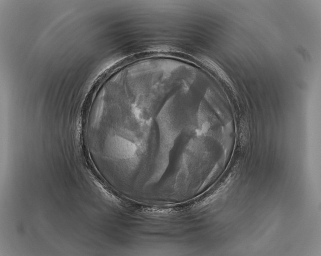 X0000112970831200909101651