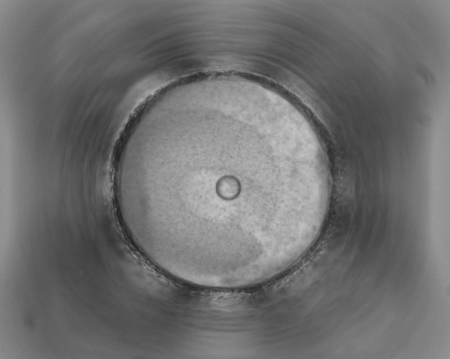 X0000112970832200909101651