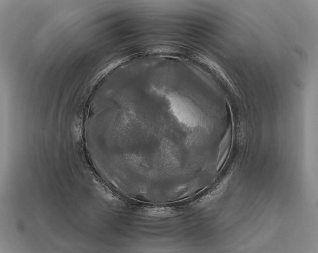 X0000112970833200909101651