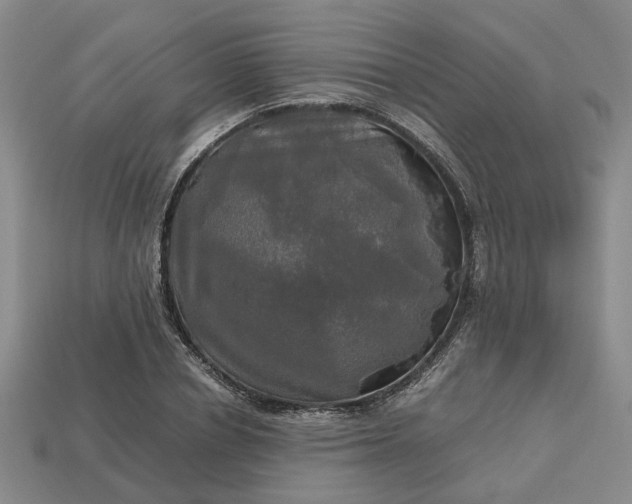 X0000112970834200909101651