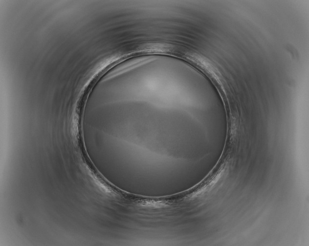 X0000112970835200909101651