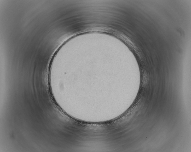 X0000112970836200909101651