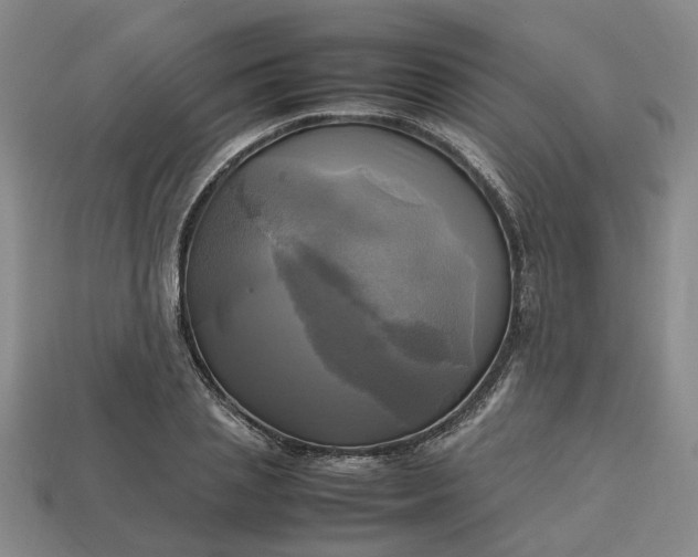 X0000112970837200909101651