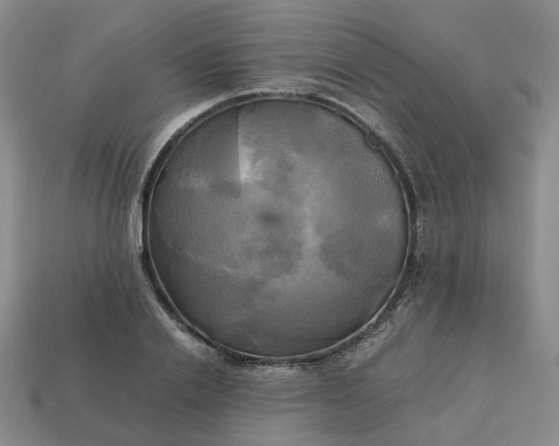 X0000112970838200909101651