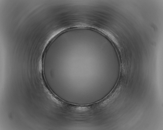 X0000112970839200909101651