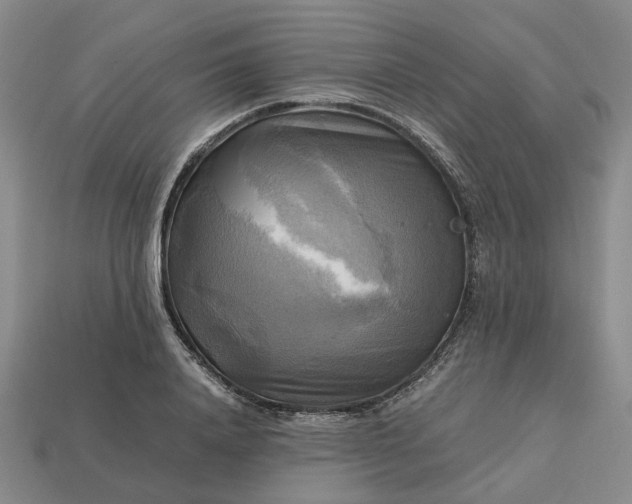 X0000112970840200909101651