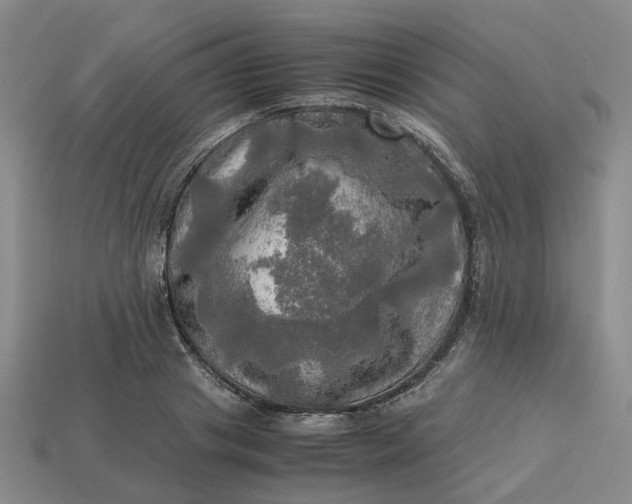 X0000112970841200909101651