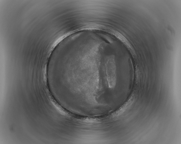 X0000112970842200909101651