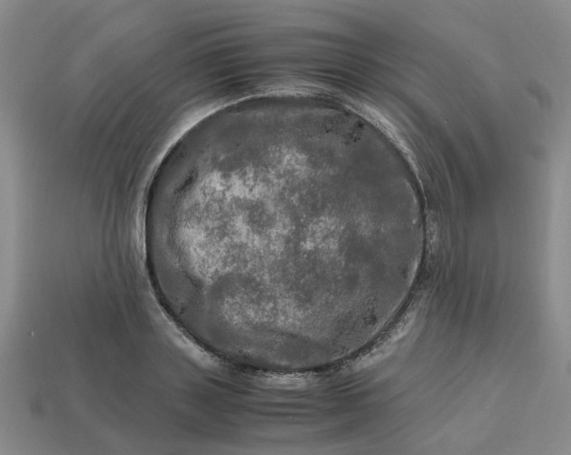 X0000112970843200909101651