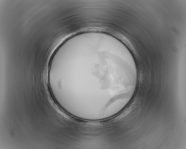 X0000112970844200909101651